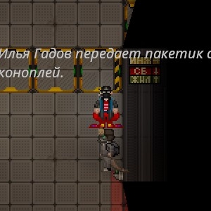 2041.jpg