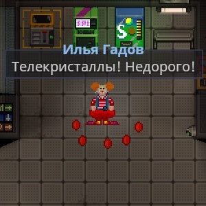 5041.jpg