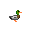 duck.png