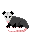 possum.png