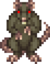 regalrat.png